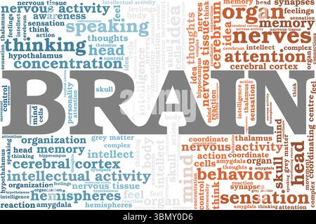 Konzeptionelles Design der Brain Word Cloud isoliert auf weißem Hintergrund. Stock Vektor