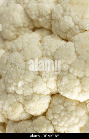 Makrotextur der Blumenkohloberfläche mit Wassertröpfchen. Stockfoto