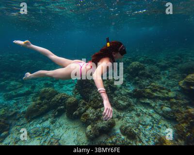 Eine junge Frau schwimmt anmutig unter Wasser und erkundet bunte Korallenriffe. Sonnenlicht filtert durch das Wasser und schafft eine lebendige, ruhige Atmosphäre Stockfoto