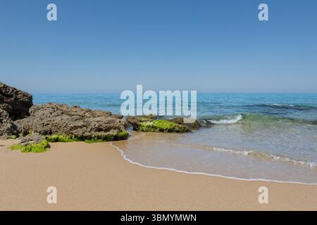 Sandstrand mit algenbedeckten Felsen und klarem türkisfarbenem Meer unter blauem Himmel Stockfoto