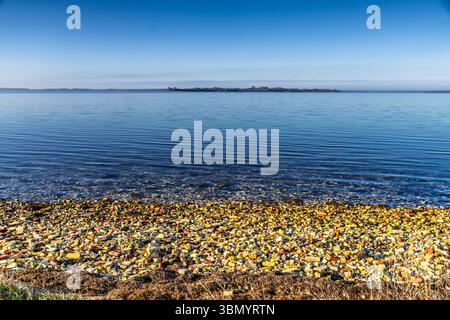 Ruhige und ruhige Küstenlandschaft mit verstreuten bunten Kieselsteinen am Ufer. Das ruhige Wasser und der ferne Horizont sorgen für eine harmonische und wohltuende Atmosphäre Stockfoto