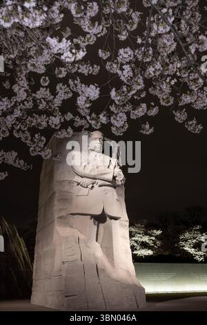 Das Martin Luther King Jr Memorial wird von Kirschblüten im Tidal Basin in Washington, D.C. eingerahmt Stockfoto
