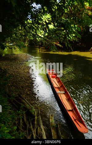 MALAYSIA SARAWAK 29/6/25.der 60 Millionen Jahre alte Mulu-Nationalpark ist sicherlich ein botanisches Juwel. Der Park ist sowohl wegen seiner hohen Artenvielfalt als auch wegen seiner Karsteigenschaften hervorragend. Der Gunung Mulu Nationalpark auf der Insel Borneo im Bundesstaat Sarawak ist das am meisten erforschte tropische Karstgebiet der Welt. Der 52.864 ha große Park umfasst 17 Vegetationszonen mit rund 3.500 Arten von Gefäßpflanzen. Seine Palmenarten sind außergewöhnlich reich, mit 109 Arten in 20 Gattungen. Der Park wird von Gunung Mulu, A, dominiert Stockfoto