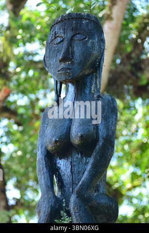 MALAYSIA SARAWAK 29/6/25.der 60 Millionen Jahre alte Mulu-Nationalpark ist sicherlich ein botanisches Juwel. Der Park ist sowohl wegen seiner hohen Artenvielfalt als auch wegen seiner Karsteigenschaften hervorragend. Der Gunung Mulu Nationalpark auf der Insel Borneo im Bundesstaat Sarawak ist das am meisten erforschte tropische Karstgebiet der Welt. Der 52.864 ha große Park umfasst 17 Vegetationszonen mit rund 3.500 Arten von Gefäßpflanzen. Seine Palmenarten sind außergewöhnlich reich, mit 109 Arten in 20 Gattungen. Der Park wird von Gunung Mulu, A, dominiert Stockfoto