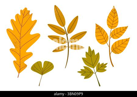 Herbstlaub von verschiedenen Bäumen, Eichen, ebereschen, Esche. Einfache gelbe, orange Herbstblätter für Vorlage, Banner, Aufkleber. Hallo Herbst Pos. Stock Vektor