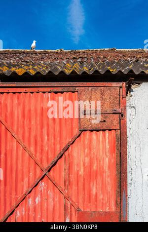 Alte, rostrote Metalltür und verwittertes Fabrikdach vor blauem Himmel. Einsame Möwe auf dem Dach. Abstrakt. Texturen. Kontraste. Stockfoto