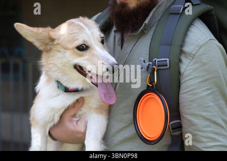 Wanderer mit seinem Hund. Bergsteiger hält seinen Hund in den Armen. Hundeschale für unterwegs, tragbare Wasserflasche für Hunde Stockfoto