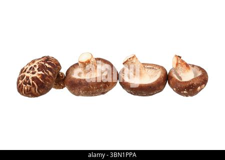 Es sind vier Shiitake-Pilze isoliert auf weiß. Stockfoto