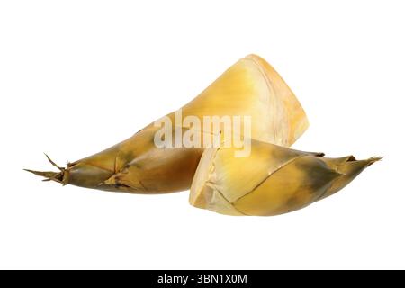 Es ist Bambussprossen isoliert auf weiß. Stockfoto
