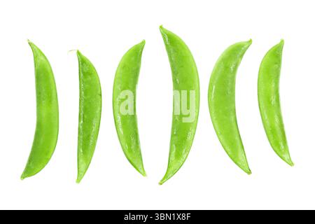 Es sind frische, nasse grüne Erbsen, isoliert auf weiß. Stockfoto