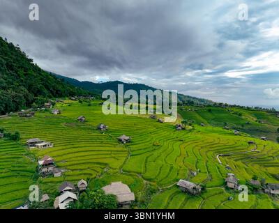 Aus der Vogelperspektive der lebendigen Reisterrassen, die sich durch bewaldete Hügel und abgelegene Täler im Norden Thailands erstrecken. Ökologischer Landbau, Dorfleben Stockfoto