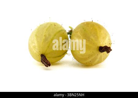 Nahaufnahme von zwei grünen Stachelbeeren vor weißem Hintergrund, die ihre einzigartige Textur und natürliche Farbe zeigen, perfekt für gesunde Lebensmittel und f Stockfoto