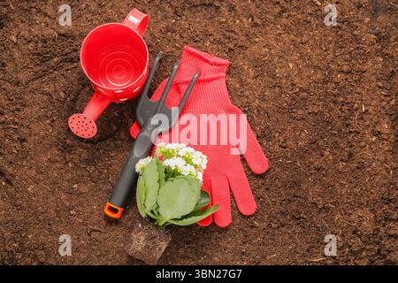 Verschiedene Gartengeräte und Pflanzen im Garten Stockfoto