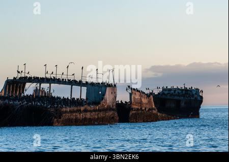 Nahaufnahme der SS Palo Alto, ein altes Schiffswrack aus dem Zweiten Weltkrieg bei Sonnenuntergang, vor der Küste von Aptos, in der Nähe von seacliff Beach, Californa Stockfoto