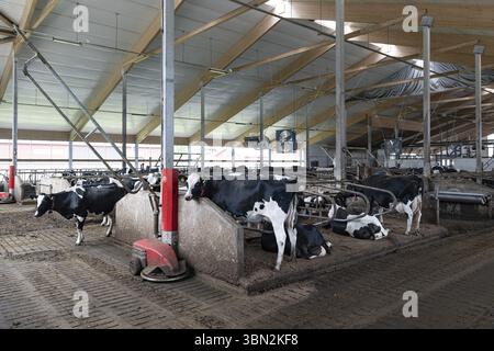 Moderner Farmfarm im Norden Sevonias in Finnland Stockfoto