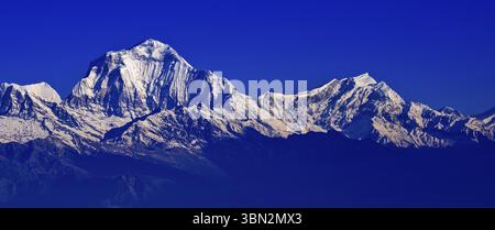 Dhaulagiri Range, Annapurna Range Sunrise, Poon Hill View Point, Ghorepani, Annapurna Conservation Area, Himalaya, Nepal, Asien Stockfoto