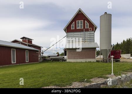 Silo auf einem modernen Farmbetrieb im Norden Sevonias in Finnland Stockfoto
