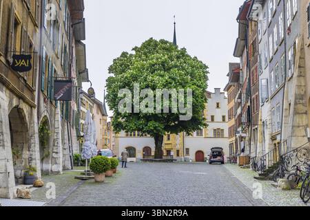 Burgdorf, Schweiz - 16. Mai 2023: Großer Kastanienbaum in der Altstadt von Burgdorf, Kanton Bern in der Schweiz bei bewölktem Tag Stockfoto