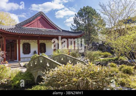 Haren, Niederlande - 5. April 2023: Chinesisches Gartenreich von Ming inspiriert vom berühmten Garten Suzhou in Hortus Botanicus in der Gemeinde Haren G. Stockfoto