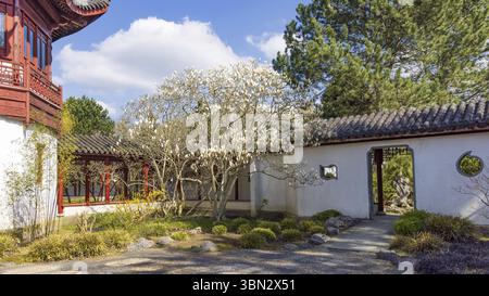 Haren, Niederlande - 5. April 2023: Chinesisches Gartenreich von Ming inspiriert vom berühmten Garten Suzhou in Hortus Botanicus in der Gemeinde Haren G. Stockfoto
