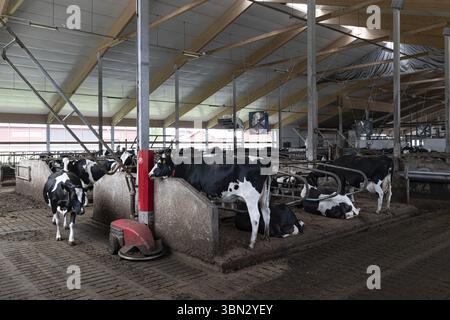 Moderner Farmfarm im Norden Sevonias in Finnland Stockfoto