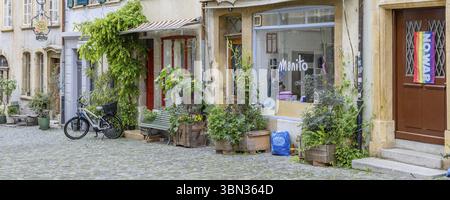 Burgdorf, Schweiz - 16. Mai 2023: Altstadt mit Blumentöpfen und Kletterpflanzen im Dorf Burgdorf, Kanton Bern in der Schweiz bei bewölktem Tag Stockfoto