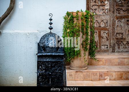 Antike marokkanische Lampe aus Schmiedeeisen in Schwarz mit geschnitzten marokkanischen Motiven in der Nähe eines Terrakotta-Topfes mit grünen Pflanzen vor der Haustür eines Hauses mit Typ Stockfoto