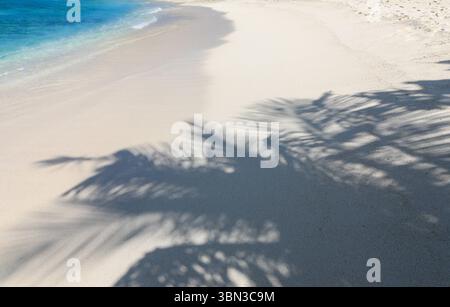 Schatten der Palmen am Strand im Ferienort Cinnamon Dhonveli, Male North Harbour, Malé, Malediven, Indischer Ozean, Asien Stockfoto