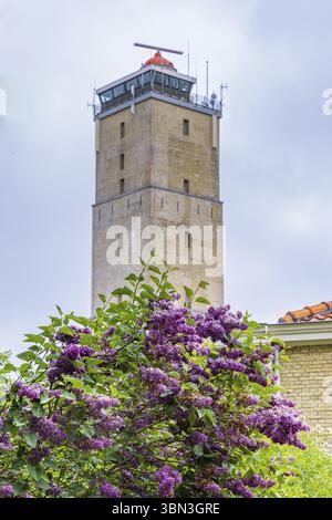 Leuchtturm Brandaris in West-Terschelling mit Blumen vor der Insel Wadden Terschelling in der niederländischen Provinz Friesland Stockfoto