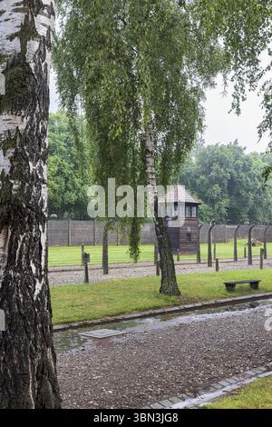 Oswiecim, Polen - 17. Juli 2023: Gedenkstätte und Museum Auschwitz-Birkena. Ehemaliges Konzentrations- und Vernichtungslager der Germanen in Polen Stockfoto
