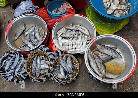 Kleine Fische auf einem traditionellen offenen Markt in den Straßen von Ubud, Bali, Indonesien Stockfoto