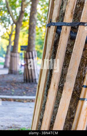 Baumstamm geschützt durch Holzlatten Stockfoto