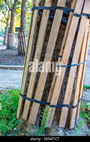 Baumstamm geschützt durch Holzlatten Stockfoto