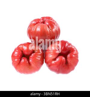 Drei Rosenäpfel isoliert auf weiß. Stockfoto