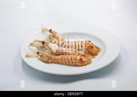 Gekochte Mantis Shrimps oder Squilla Mantis auf weißem Teller Nahaufnahme. Stockfoto