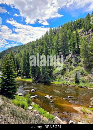 Ein felsiger Fluss schlängelt sich durch einen dichten immergrünen Wald am Fuße der steilen Klippen in den Colorado Rockies. Stockfoto