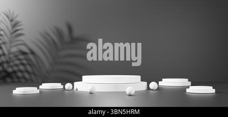 Minimalistisches Schwarzweiß-Studio mit 3D-Rendern, weißen zylindrischen Podesten und kugelförmigen Elementen, mit sanften Schatten von Palmenblättern Stockfoto