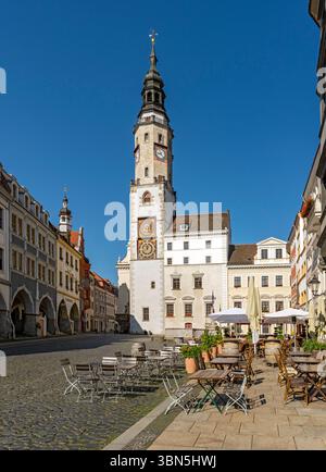 Blick auf den Untermarkt - Unterer Marktplatz und den Uhrturm des Alten Rathauses, Görlitz, Goerlitz, Deutschland Stockfoto