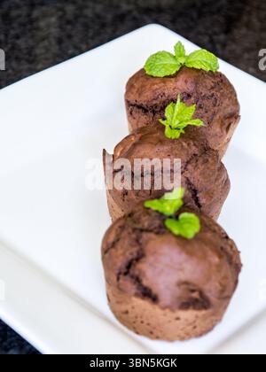 Drei hausgemachte Schokoladen-Minzmuffins auf einem quadratischen weißen Teller Stockfoto