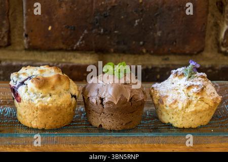 Drei verschiedene Geschmacksrichtungen (Heidelbeere, Schokoladenminze und Rosmarin) von hausgemachten Muffins vor rustikalem braunem Hintergrund. Stockfoto