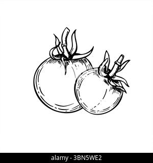 Zwei ganze Tomaten monochrome Vektor-Illustration gemalt mit schwarzen Tinten. Sommer Garten Gemüse Grafik Skizze für Lebensmittel Verpackung, gesunde Lebensweise Stock Vektor