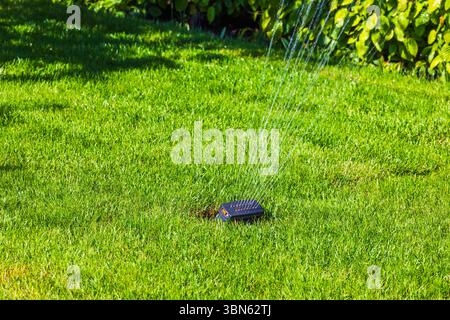 Automatischer Rasenregner, der während des sonnigen Tages im Garten Wasser über grünes Gras sprüht. Schweden. Stockfoto
