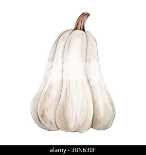 Kürbis in Aquarellfarben mit Stiel für Herbst- und Halloween-Designs. Handzeichnung Illustration von weißen Gourd for Harvest Festival Einladungen auf isoliert Stockfoto