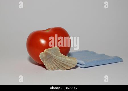 Ungewöhnliche Zusammensetzung von Tomate, Muschel und Stoff Stockfoto