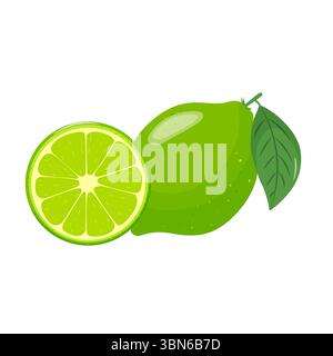 Satz von Limettensymbolen. Helle ganze Früchte, Hälften, Scheiben mit Blättern. Elemente für Frühling und Sommer. Handgezeichnet. Stock Vektor