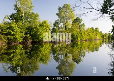 Ruhige Landschaft mit einem ruhigen Fluss und lebendigen grünen Bäumen, die sich auf der spiegelähnlichen Oberfläche des Wassers spiegeln. Ein altes hölzernes Boot verleiht dem einen rustikalen Charme Stockfoto