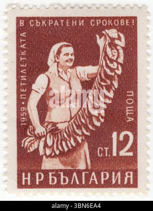 BULGARIEN — 1960: Eine rotbraune Briefmarke mit 12 Stotinki, die eine Frau mit Tabakblättern zeigt. Frühzeitige Fertigstellung des Fünfjahresplans (1959). Tabak ist die Pflanze der Gattung Nicotiana der Familie Solanaceae und der allgemeine Begriff für jedes Erzeugnis, das aus den gereiften Blättern dieser Pflanzen hergestellt wird. Der wichtigste kommerzielle Anbau ist Nicotiana tabacum. Getrocknete Tabakblätter werden hauptsächlich zum Räuchern in Zigaretten und Zigarren sowie in Pfeifen und Shishas verwendet. Sie können auch als Snuff, Kautabak, Tauchtabak und Snus konsumiert werden. Tabak enthält das stark süchtig machende Stimulans Alkaloid Nikotin Stockfoto
