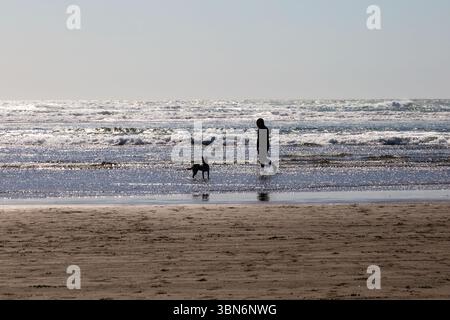 Warrenton, Oregon, USA - 22. April 2018: Eine Person und ihr Hund spazieren am Strand entlang und waten im Wasser an einem sonnigen Tag. Stockfoto