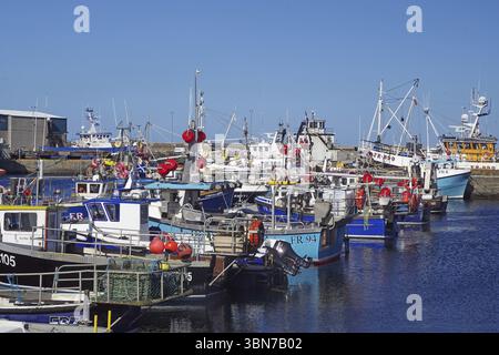 Verschiedene Fischerboote liegen im Hafen, ergänzt durch farbenfrohe Bojen, Fraserburgh Aberdeenshire, Schottland, Großbritannien Stockfoto