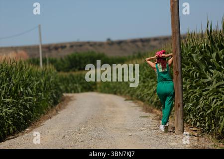 Eine Frau steht in einem Maisfeld, trägt ein grünes Outfit und ein rosafarbenes Stirnband. Sie lehnt sich an einen Telefonmast. Die Szene ist friedlich und ruhig Stockfoto